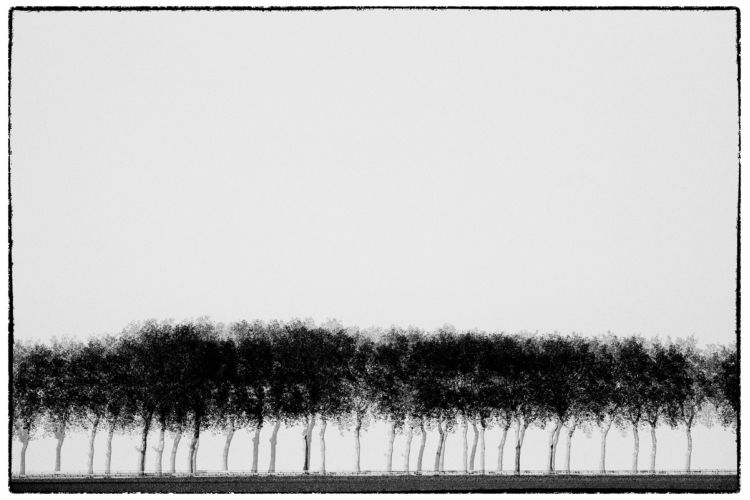 Trees - Série Glitches - Photo : © Sebastien Desnoulez