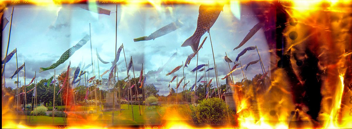 Hallucination #4 - Manches à air Coréennes, Jardin d'acclimatation, Paris - Série Hallucinations -  Photo : © Sebastien Desnoulez