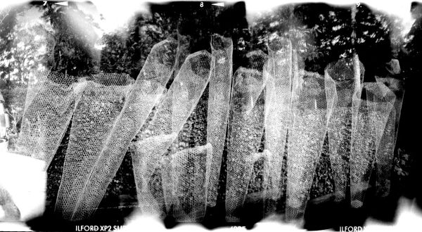 Grillages, Festival des Jardins de Chaumont sur Loire - Série Hallucinations - Photo : © Sebastien Desnoulez