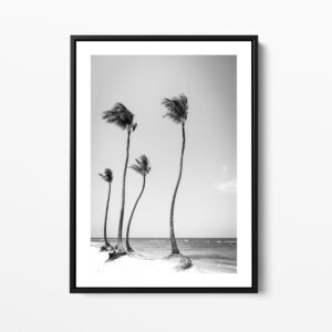 Coconut coast 2 Dominican Republic framed print photo Sebastien Desnoulez Photographe auteur